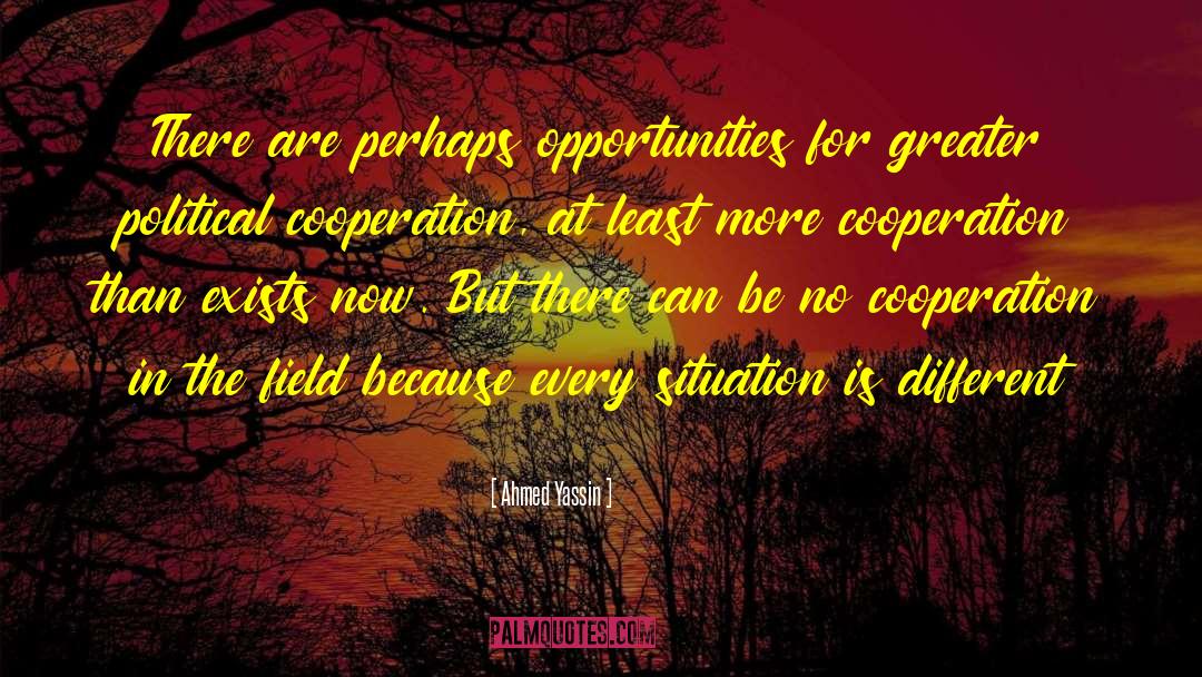 Rare Opportunities quotes by Ahmed Yassin