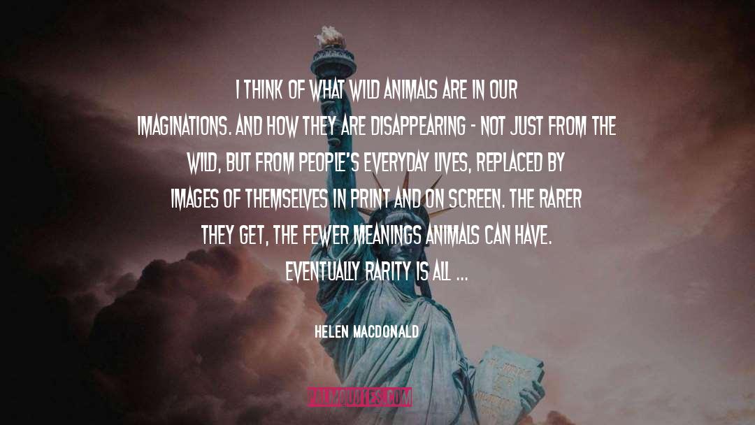 Rarer quotes by Helen Macdonald
