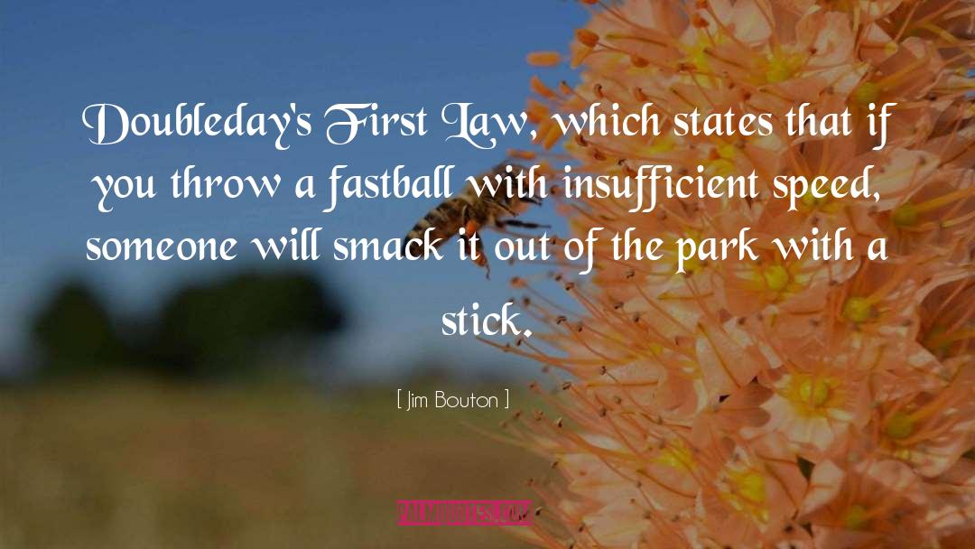 Rasner Law quotes by Jim Bouton