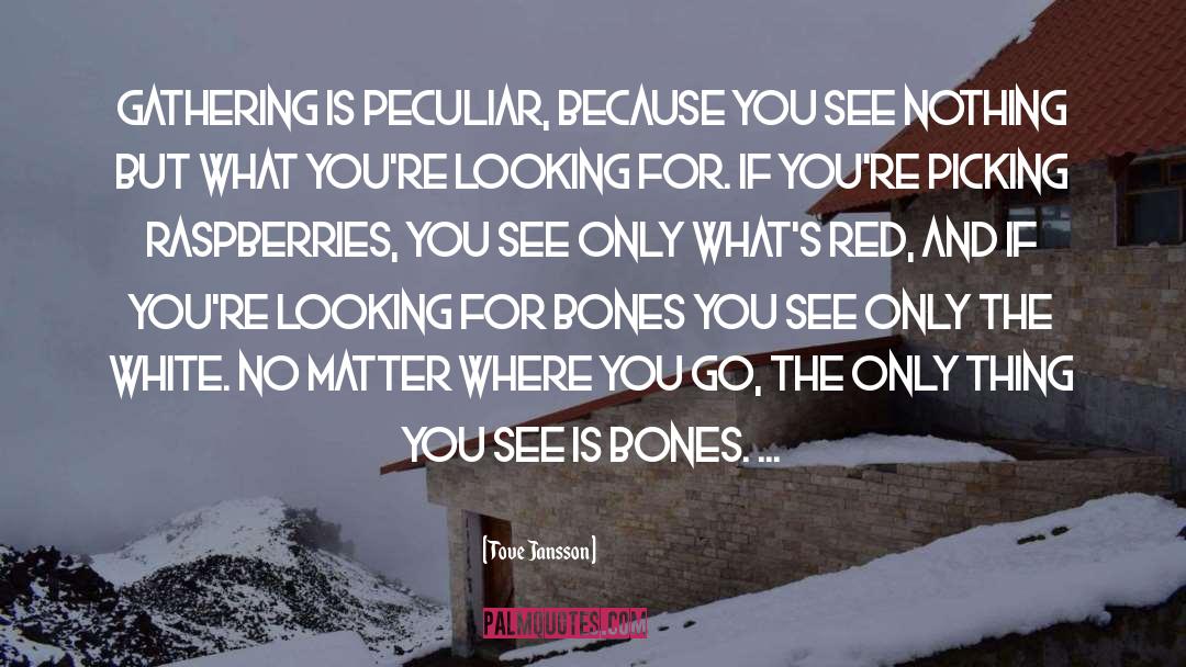 Raspberries quotes by Tove Jansson