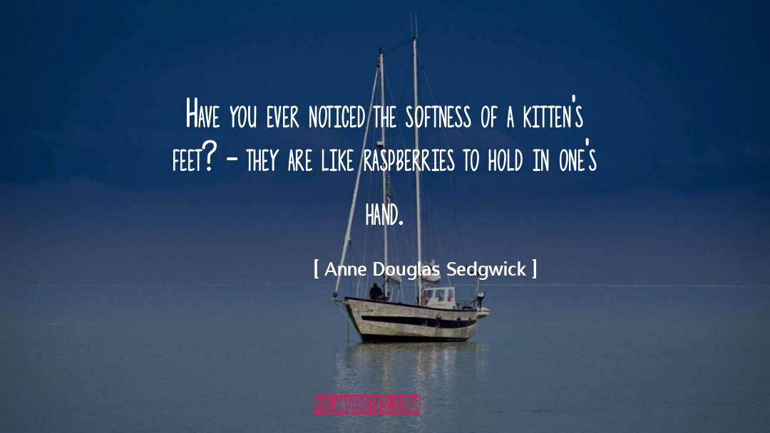 Raspberries quotes by Anne Douglas Sedgwick