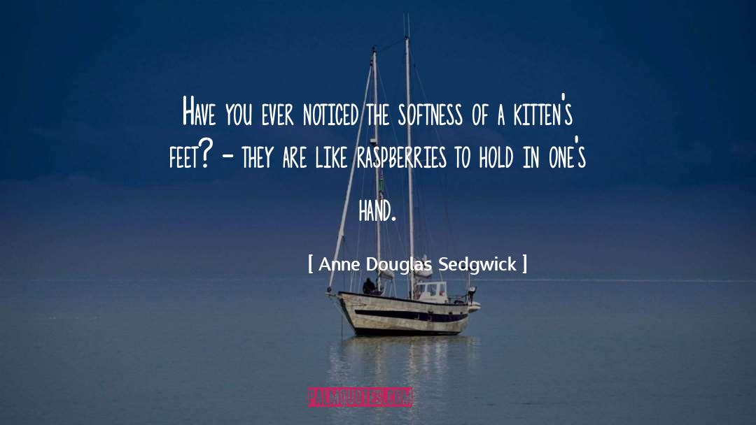 Raspberries Recipes quotes by Anne Douglas Sedgwick