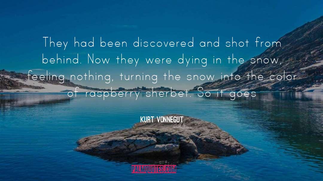Raspberry quotes by Kurt Vonnegut