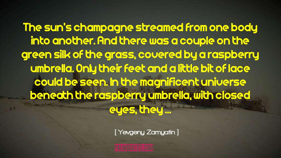 Raspberry quotes by Yevgeny Zamyatin
