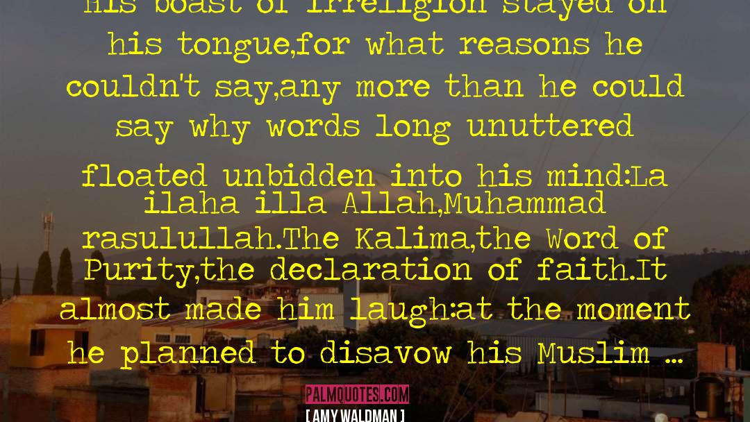 Rasulullah quotes by Amy Waldman