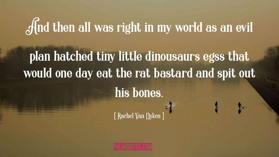 Rat quotes by Rachel Van Dyken