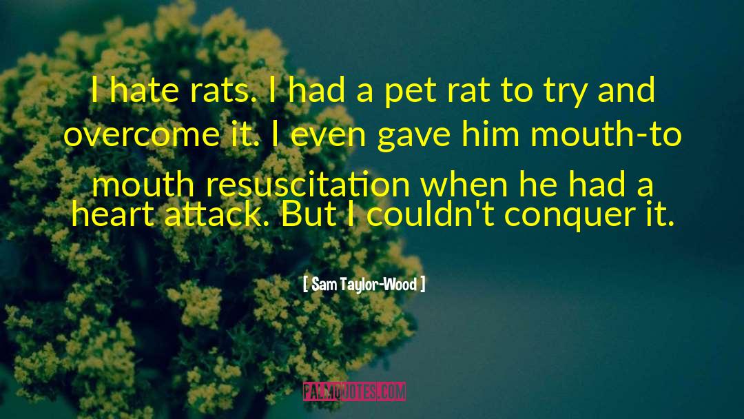 Rat quotes by Sam Taylor-Wood