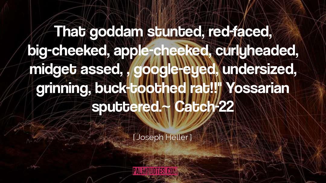 Rat quotes by Joseph Heller