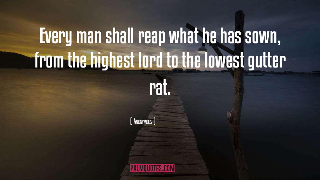 Rat quotes by Anonymous