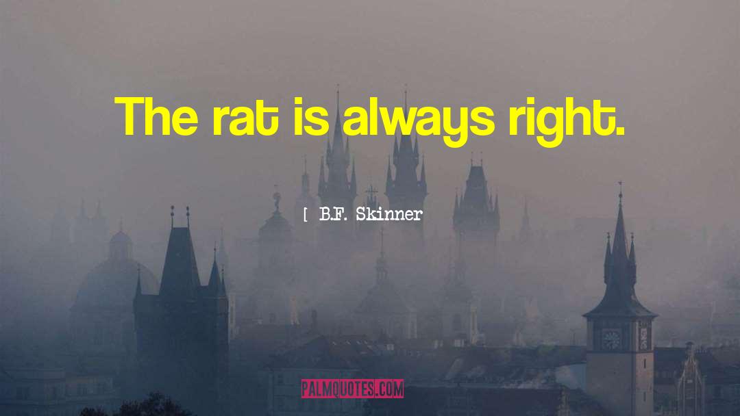 Rat quotes by B.F. Skinner