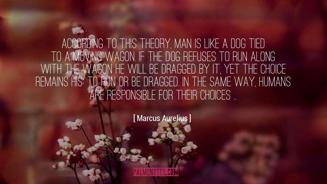 Rational Choice Theory quotes by Marcus Aurelius