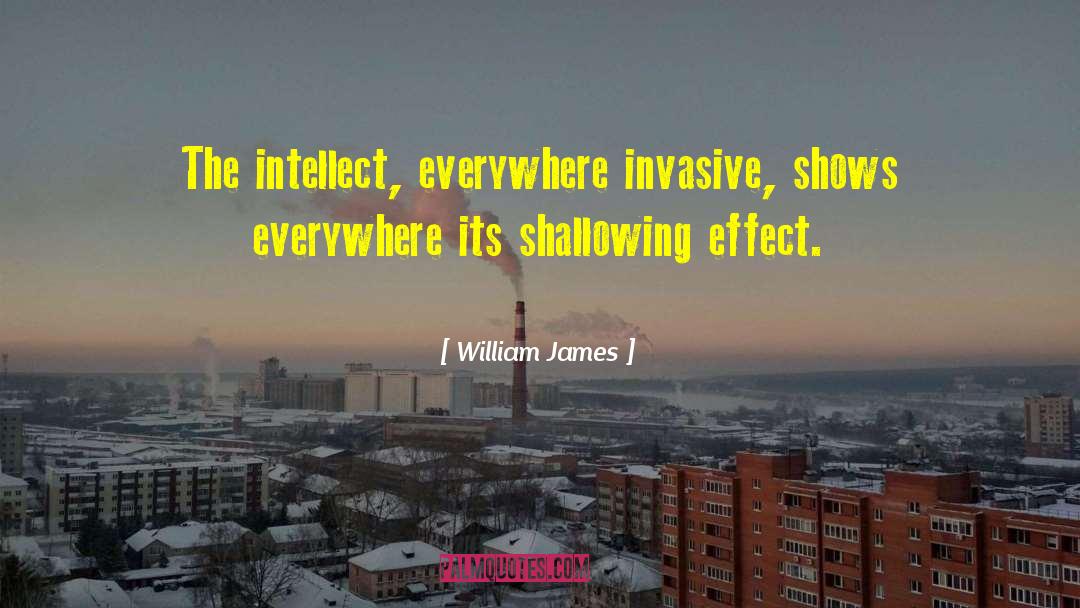 Rationalism Intellect quotes by William James