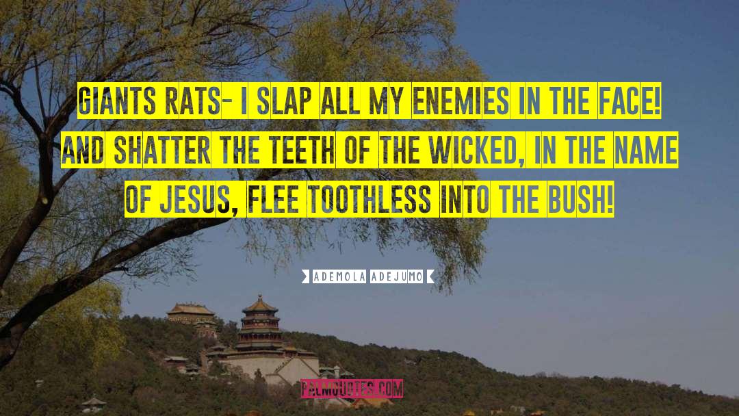 Rats quotes by Ademola Adejumo