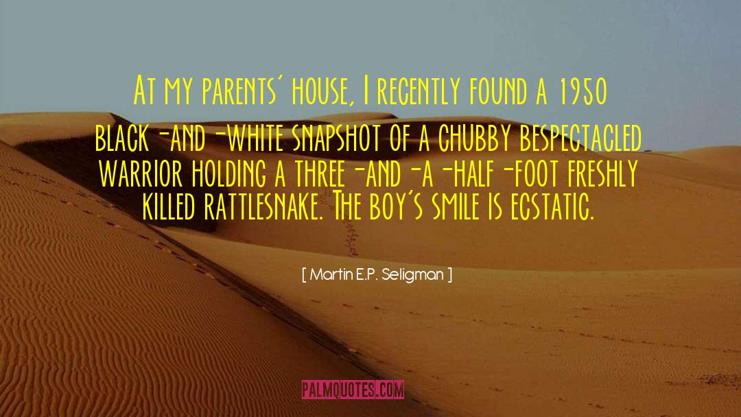 Rattlesnake quotes by Martin E.P. Seligman