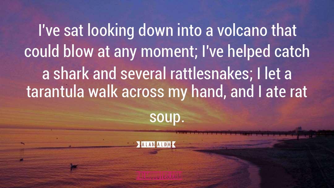 Rattlesnakes quotes by Alan Alda