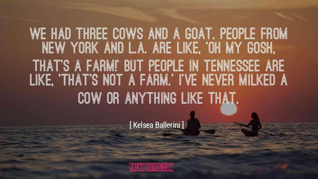 Rauschenbergs Goat quotes by Kelsea Ballerini