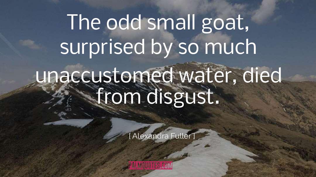 Rauschenbergs Goat quotes by Alexandra Fuller