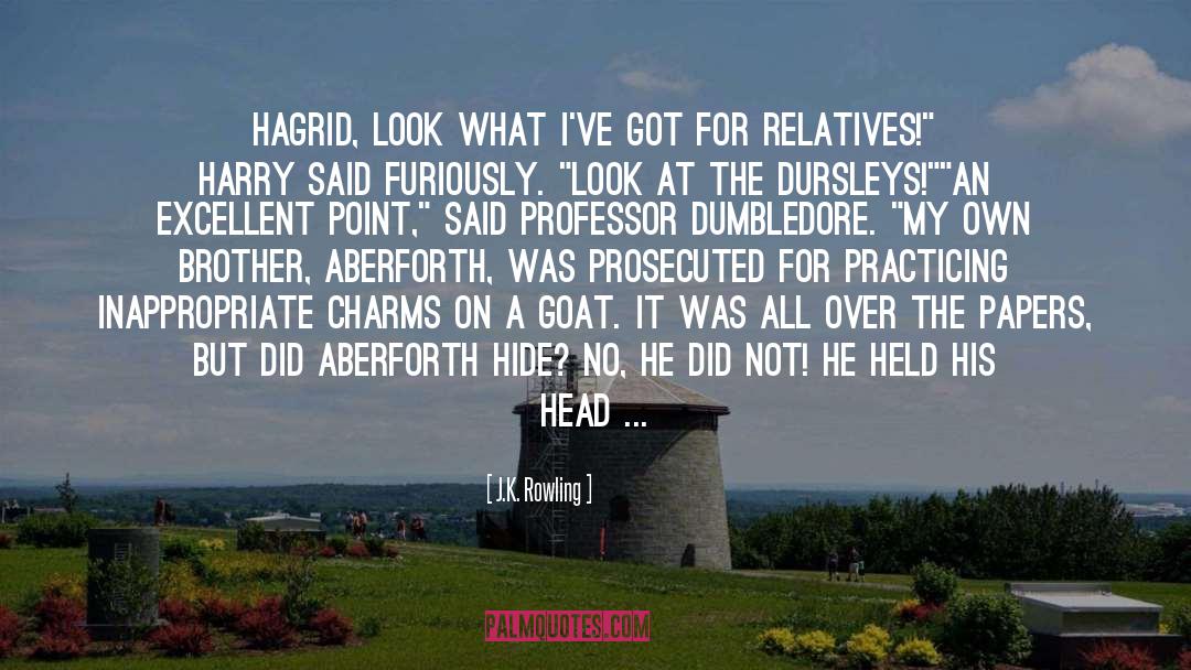 Rauschenbergs Goat quotes by J.K. Rowling