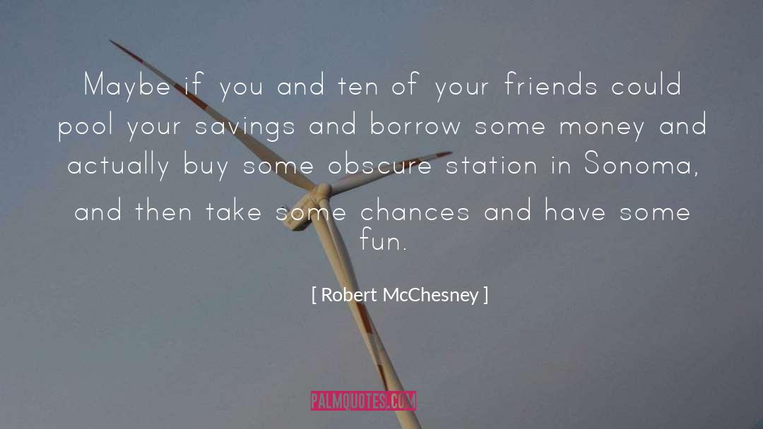 Rauschers Pool quotes by Robert McChesney