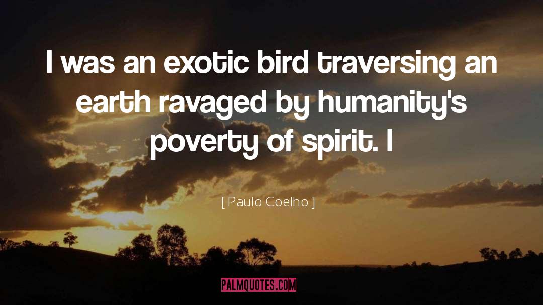 Ravaged quotes by Paulo Coelho