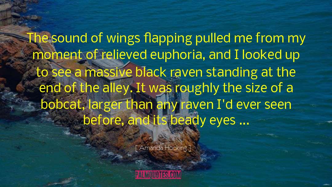Raven Wings Of Fire quotes by Amanda Hocking
