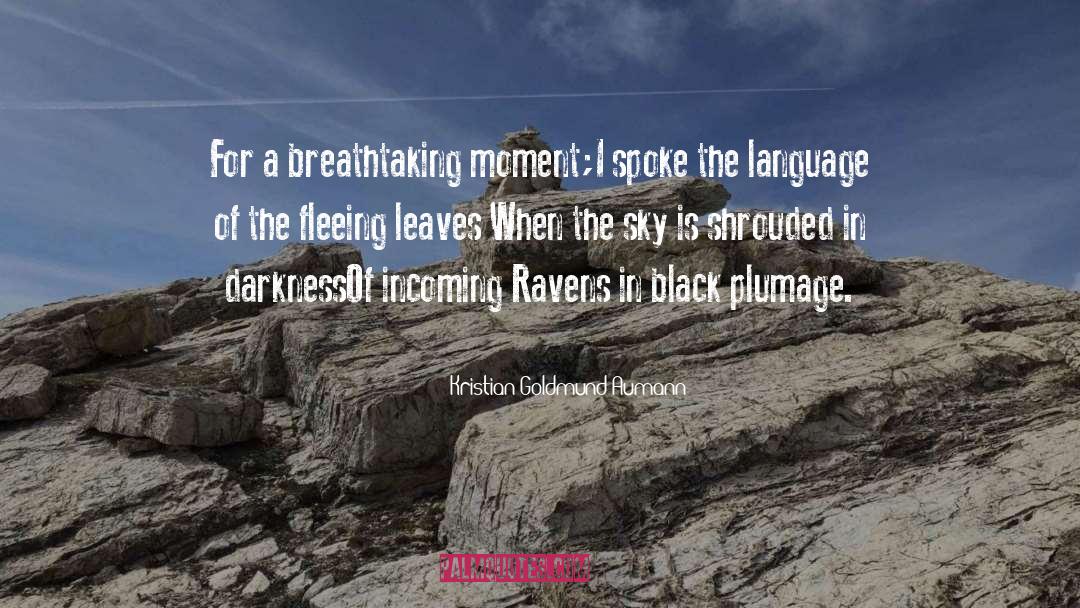 Ravens quotes by Kristian Goldmund Aumann