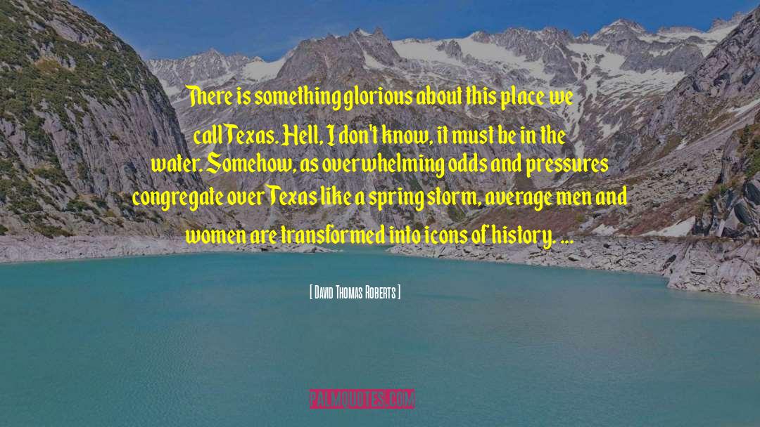 Raves In Texas quotes by David Thomas Roberts