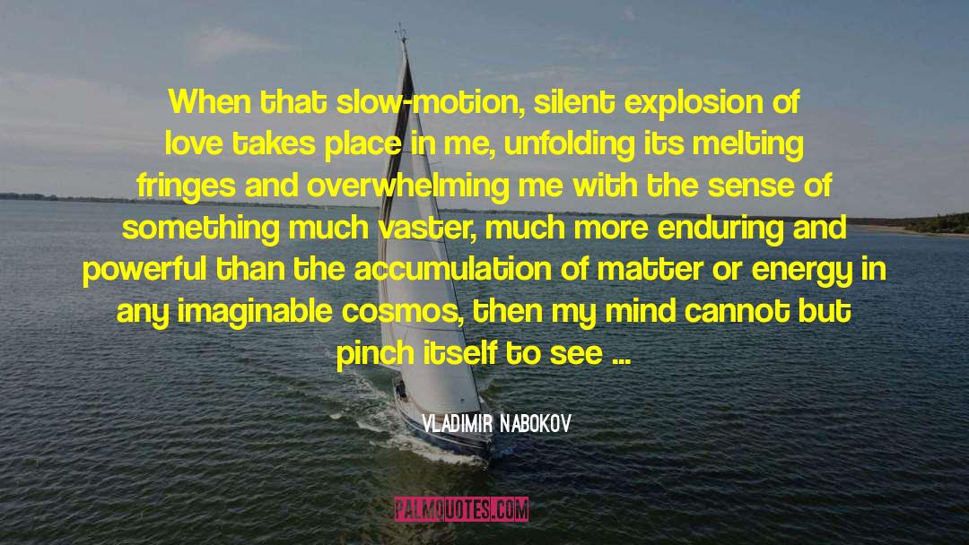 Raw Emotion quotes by Vladimir Nabokov