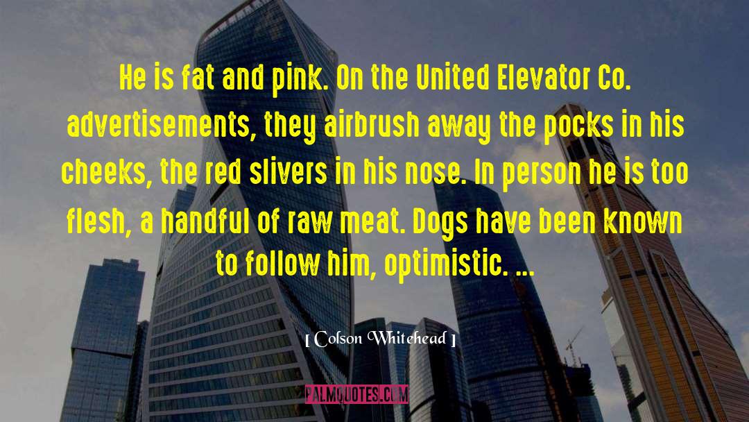 Raw Meat quotes by Colson Whitehead