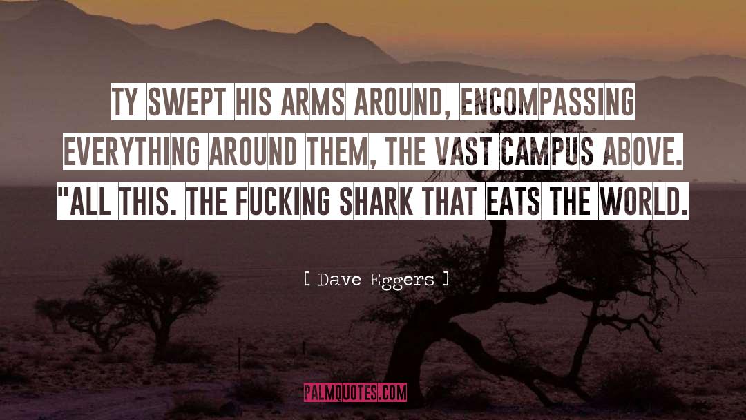 Raw Shark Texts quotes by Dave Eggers