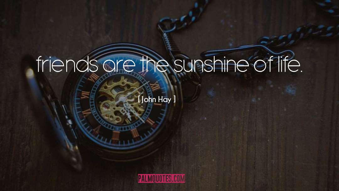 Ray Of Sunshine quotes by John Hay