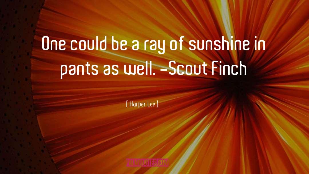 Ray Of Sunshine quotes by Harper Lee