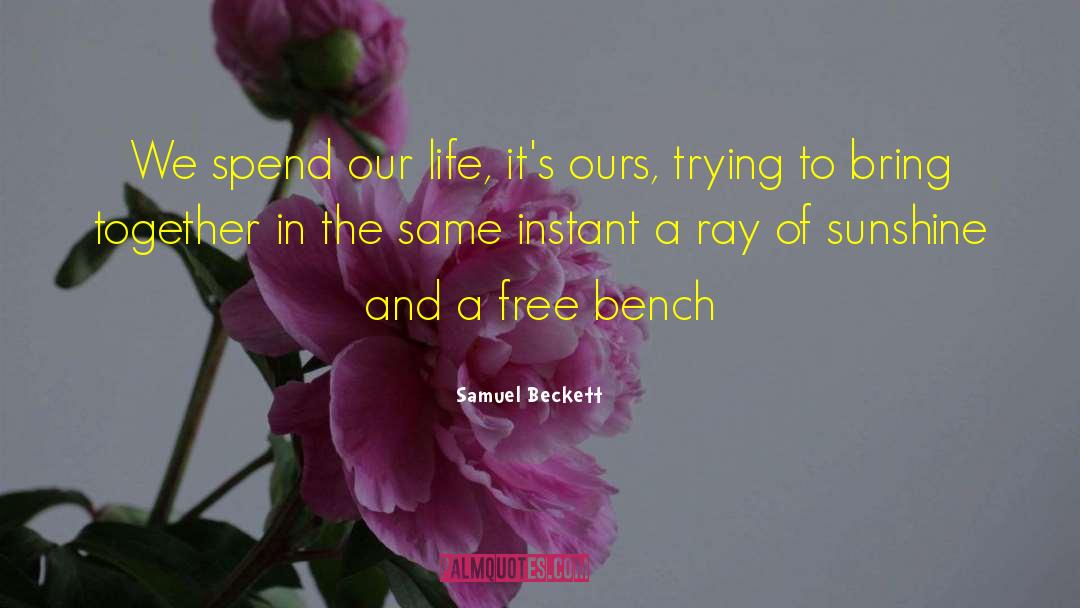 Ray Of Sunshine quotes by Samuel Beckett