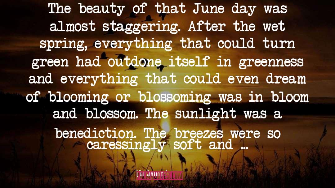 Ray Of Sunshine quotes by Dan Simmons