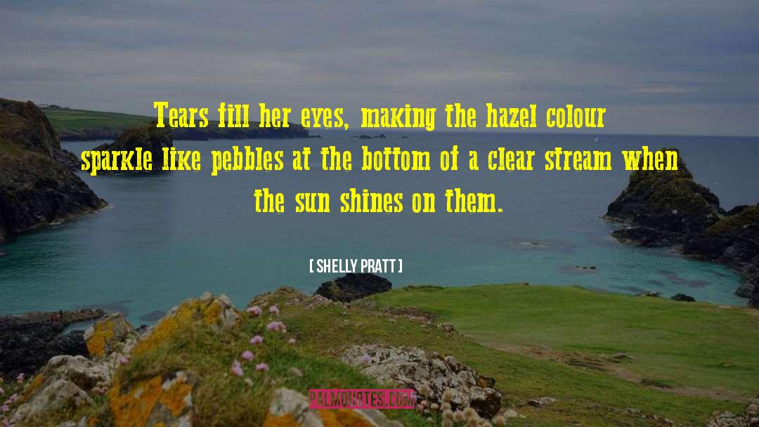 Rays Of Sun quotes by Shelly Pratt