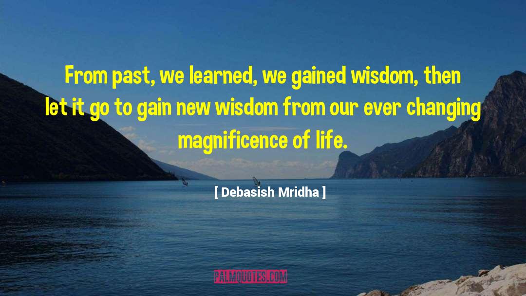 Re Education Center quotes by Debasish Mridha