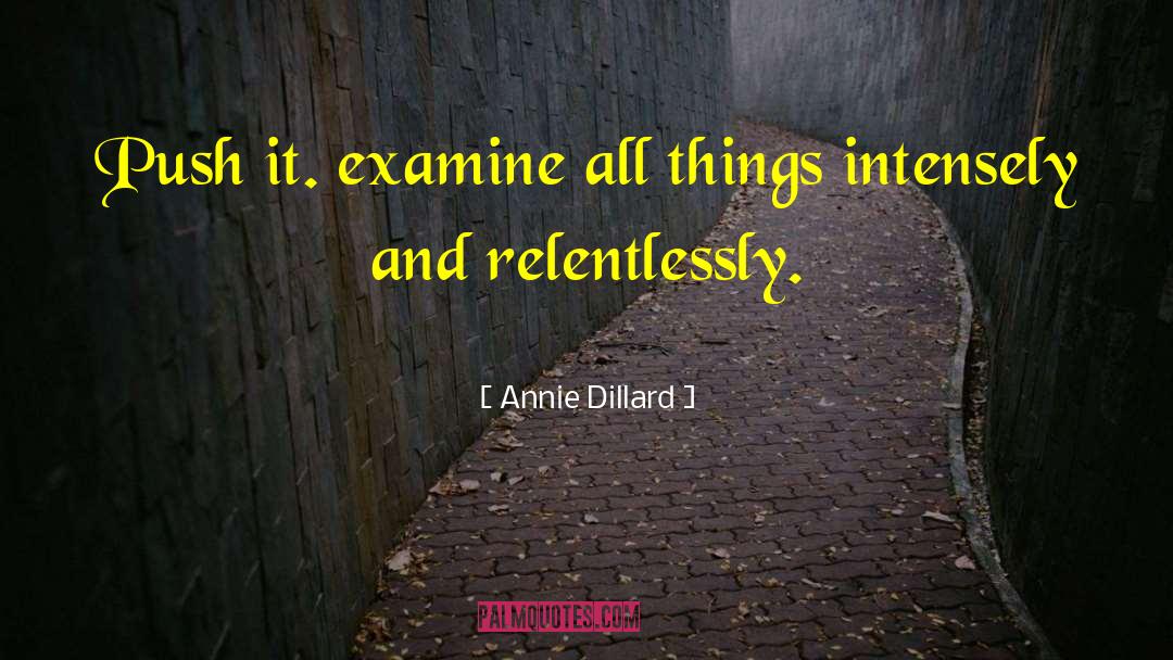 Re Examine quotes by Annie Dillard