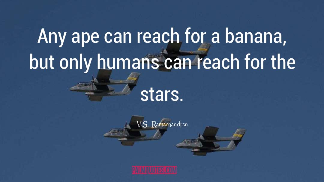 Reach For The Stars quotes by V.S. Ramachandran