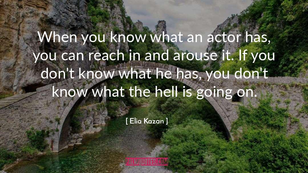 Reach In quotes by Elia Kazan