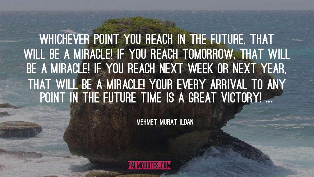 Reach In quotes by Mehmet Murat Ildan