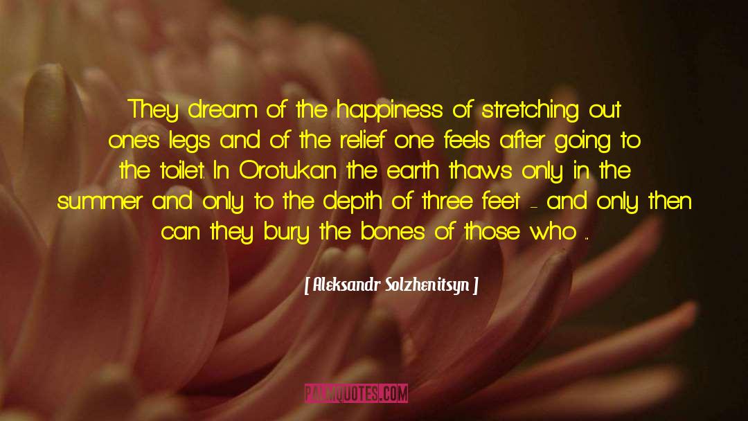 Reach The Island Of Happiness quotes by Aleksandr Solzhenitsyn