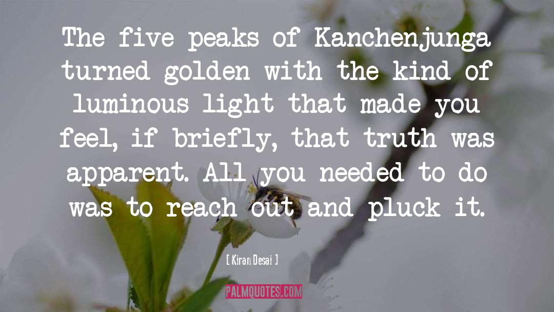 Reach Up quotes by Kiran Desai