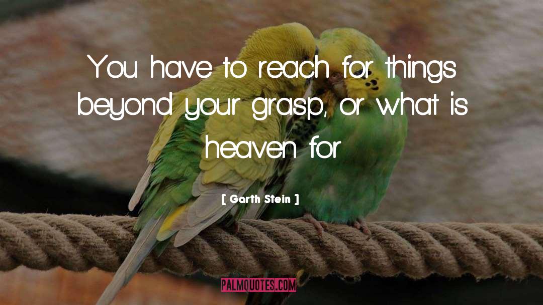 Reach Your Destination quotes by Garth Stein