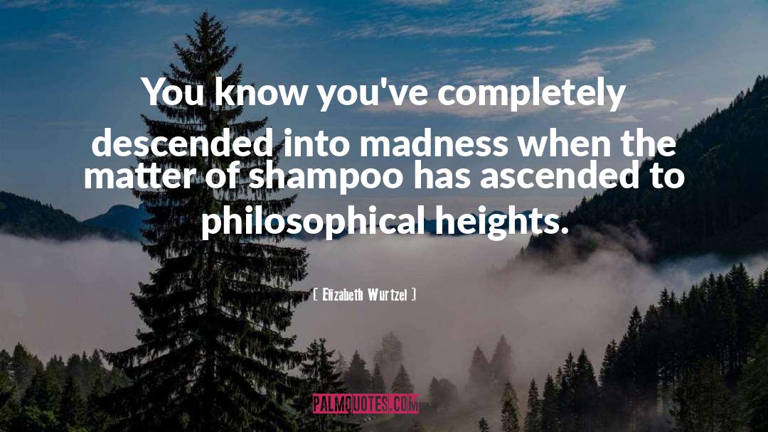 Reachable Heights quotes by Elizabeth Wurtzel