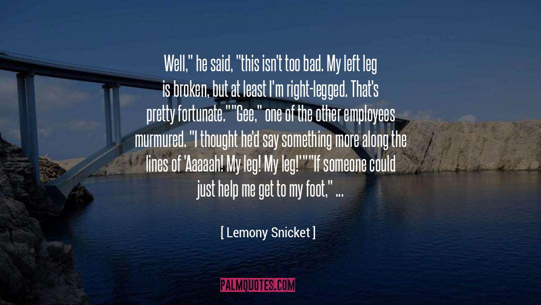 Reacher Series quotes by Lemony Snicket