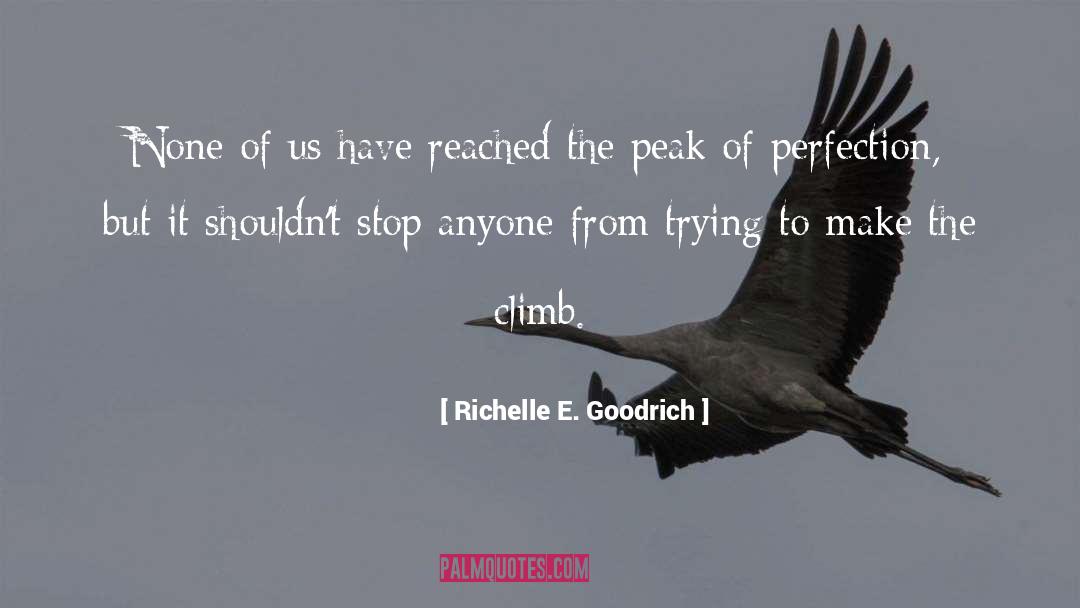 Reaching For Perfection quotes by Richelle E. Goodrich