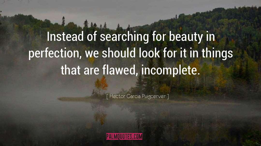 Reaching For Perfection quotes by Hector Garcia Puigcerver