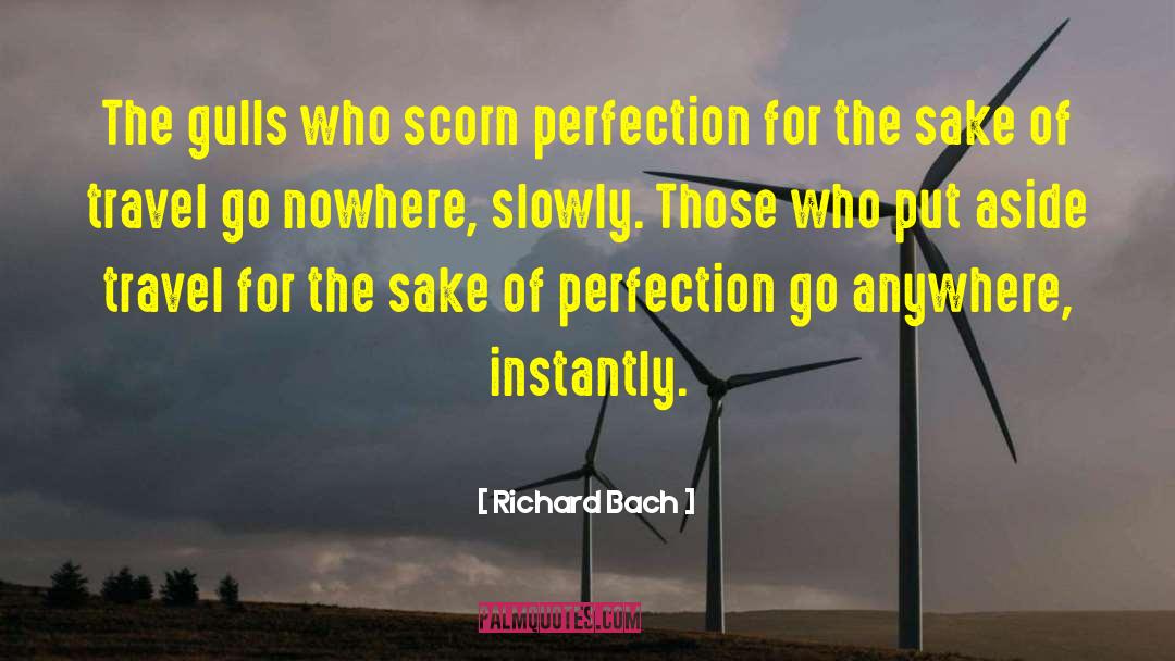 Reaching For Perfection quotes by Richard Bach