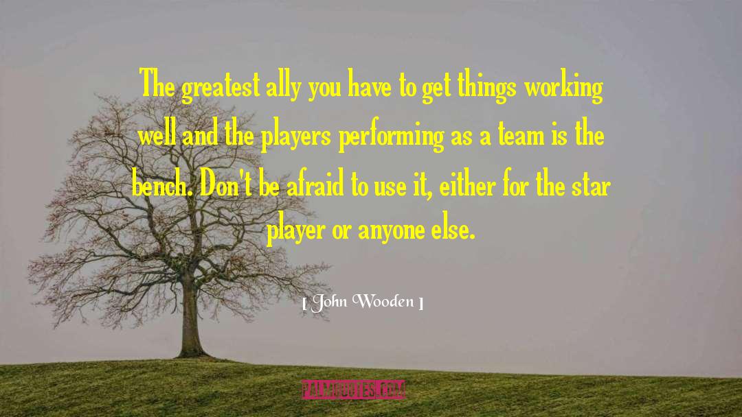 Reaching For The Stars quotes by John Wooden
