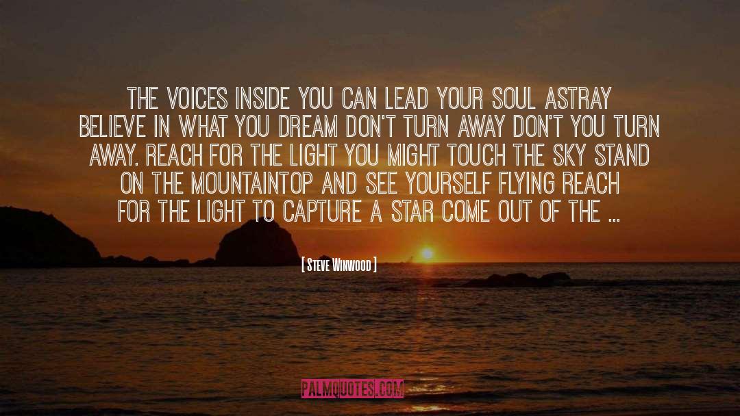 Reaching The Stars quotes by Steve Winwood